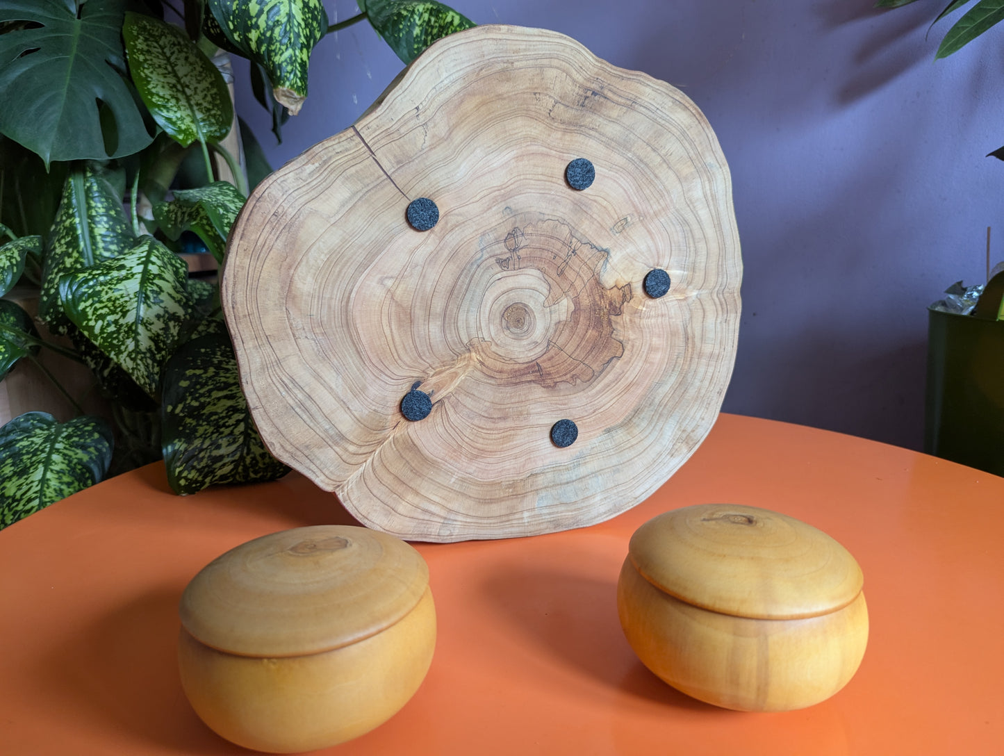 12.5" solid Juniper wood live egde Fidchell board. Handmade