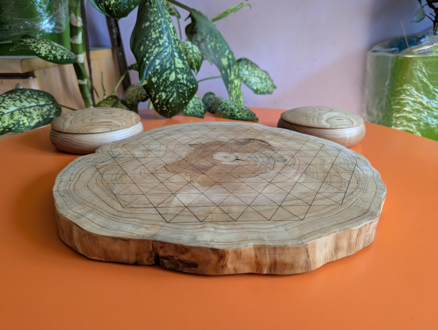 Wooden Volo game set. Juniper wood board with live egde
