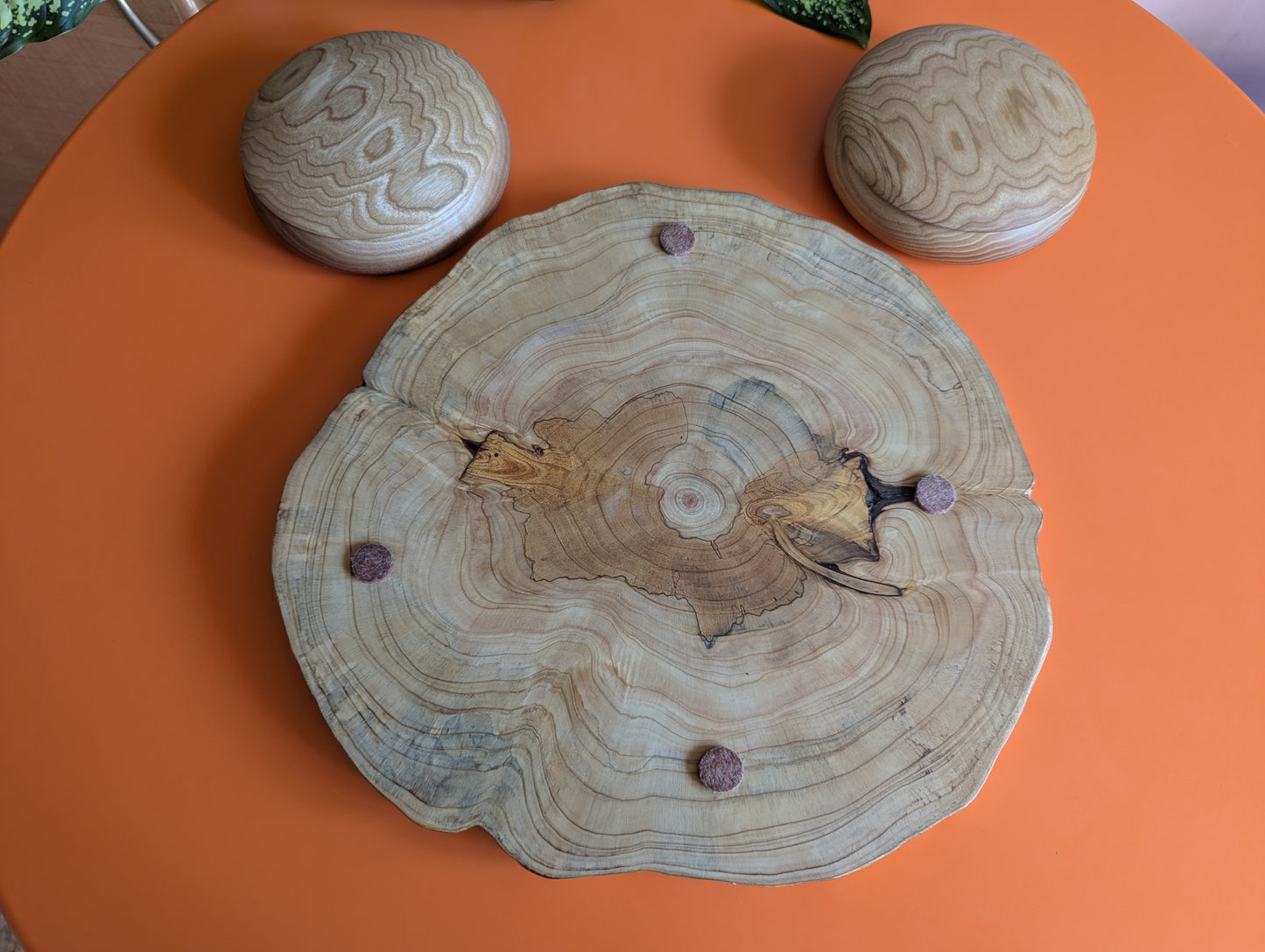 Wooden Volo game set. Juniper wood board with live egde