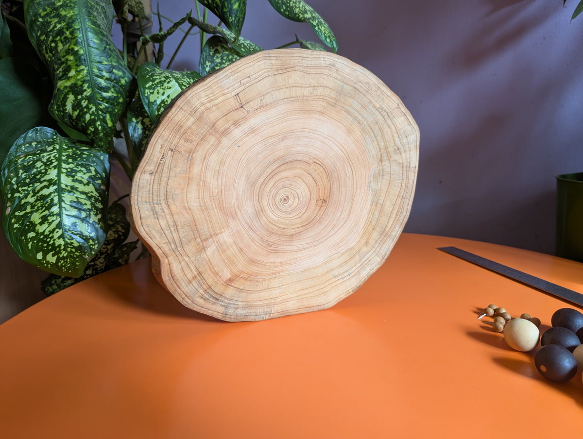 JarmoArena game set. Circle juniper wood board with live edge.